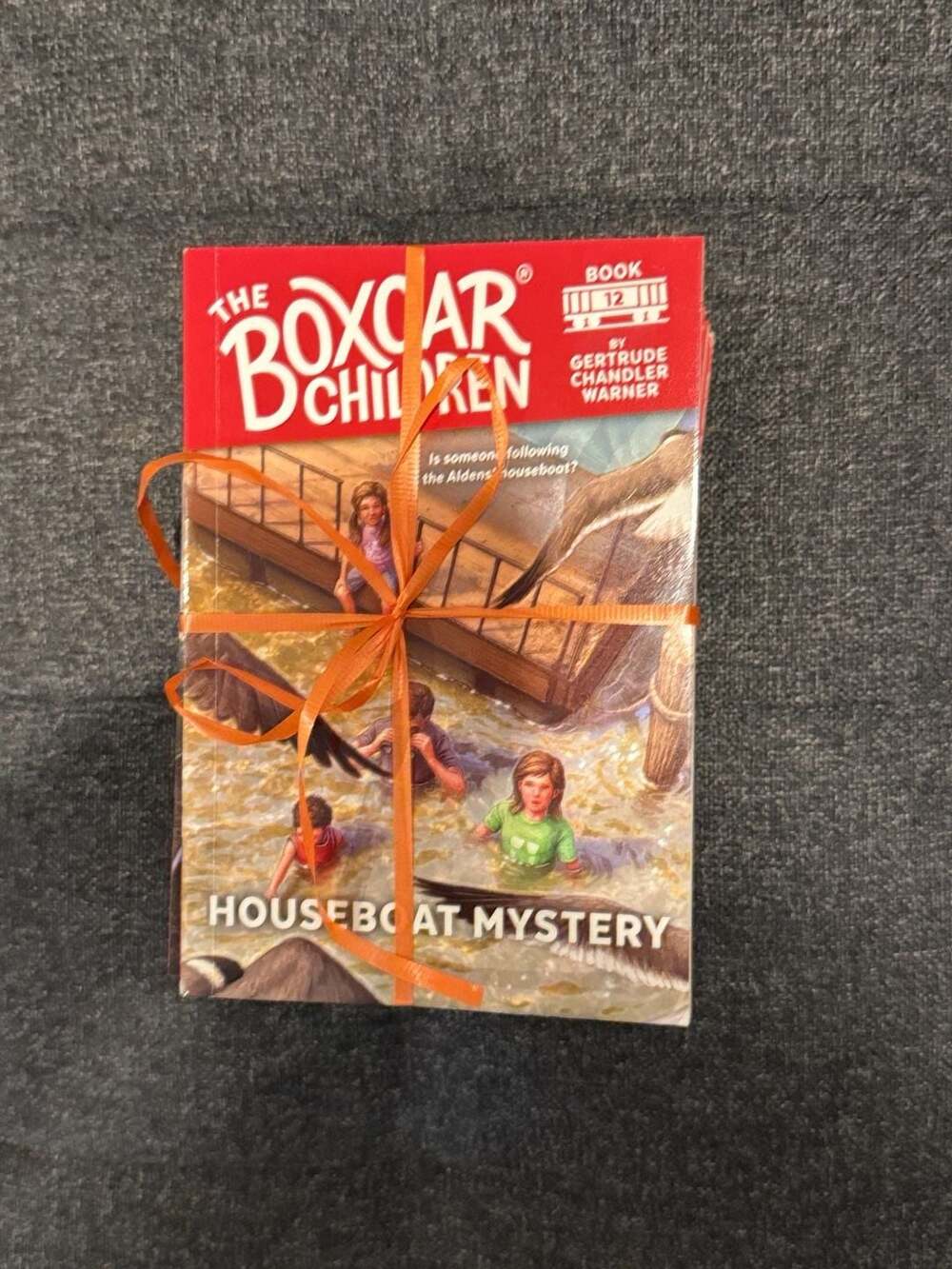 The Boxcar Children Books 2,4-12 Lot of 10 Paperback Gertrude Chandler Warner